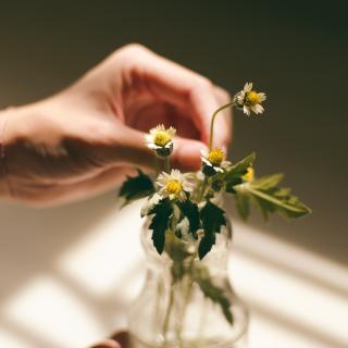 Guest host Karen Betten welcomes special guest Katie Hess: The Power of Plant Based Alchemy 