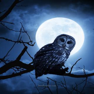 Trust Your Inner Wisdom: Full Moon Angel Guidance