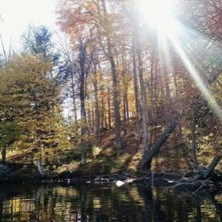 Welcome to Natural Peace Living!