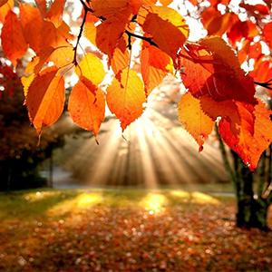 Good News Segment: Have More Security Online, Be Informed about Health Risks, & This Seasons' Expert Travel Tips