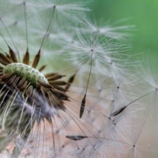 Good News Segment: Living in Your City at 80+, Medicare Open Enrollment for Veterans, Tips to Maintain Good Friendships