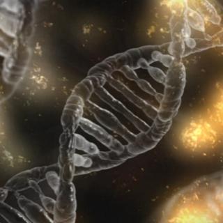 Your DNA is listening to you! with Charan Surdhar 