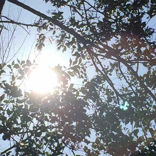 The Energy of Your Creator Nature with Janis Underwood