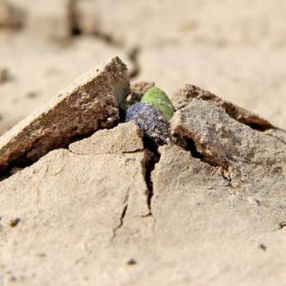 Busting Through the CRUST that Holds You Back from Achieving Your Best Life!