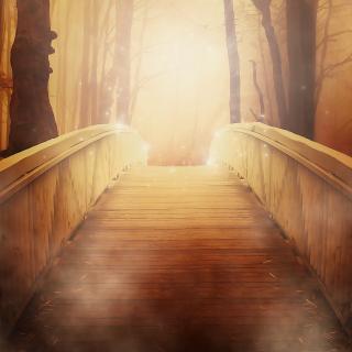 Explore Your Past-Life Karma with Dr. Linda Backman