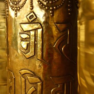 Living with Conscious Confidence - A Timeless Wisdom