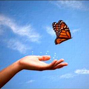Learning to Let Go