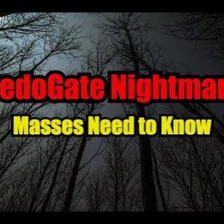 Business Game Changers Radio with Sarah Westall: Is Trump Q Anon? & Masses Need to Know About Pedogate - Liz Crokin, Part 1