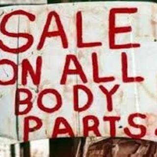 Communist China Worldwide Plan, Organ Harvesting, Slave Labor