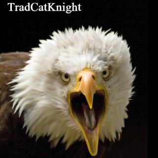 Business Game Changers Radio with Sarah Westall: Catholic Faith Divided: Traditionalists Forced Into Hiding?  TradCatNight