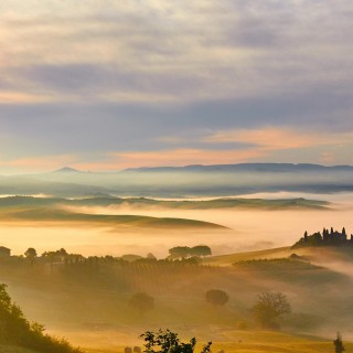 Introducing No. 1 of the 5 Shifts: Aligning with Your Truth