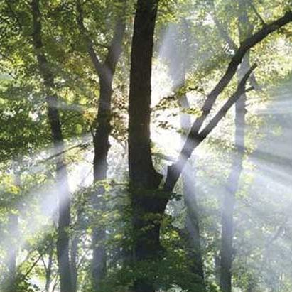 Are You the Conscious Leader of Your Life? with Dr. Glenna and her Guests Chutisa & Steven Bowman