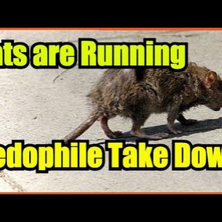 Pedophile, Trafficking Crackdown - Good Guys Finally Winning?