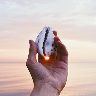 Living Lighter with Jason & Patricia: An Ecosystem Approach to Your Life!