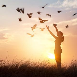 Conversations with a Shaman: Intimacy Decoded
