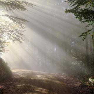 Your Evolving Soul and Today’s Life Purpose with Dr. Linda Backman