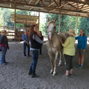 Energy Healing with Animal Communication - with Darcy Pariso & Stacy Lewis