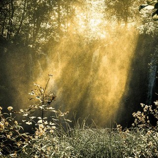 You Are Light! Call into 800.930.2819 for a LIVE Angel Card Reading from Jane!