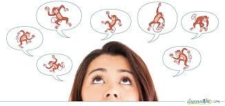 Don't quiet the monkey mind, get to know the Monkeys with Charleen Hess.
