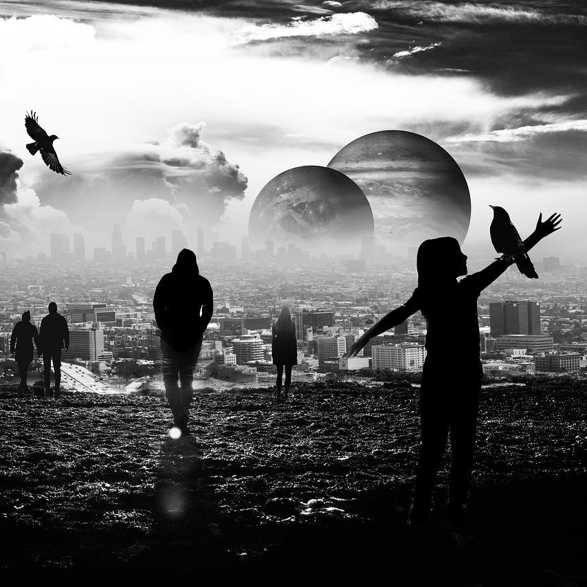 Guest Host Phil Free with Michel DeLeage: Problem Solving in a World Full of Conflict and Misunderstanding