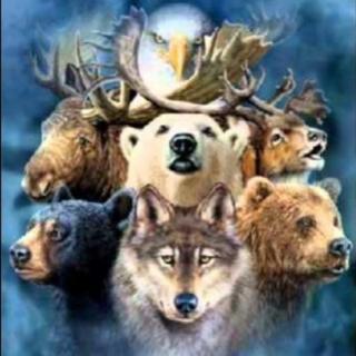 Encore: Power Animals, Spirit Clans and Shamanism: Indigenous Wisdom with David Carson 