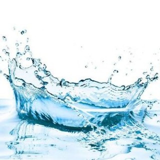 Everything You Wanted to Know About the Energizing Power of Alkaline Water with Dan Edland