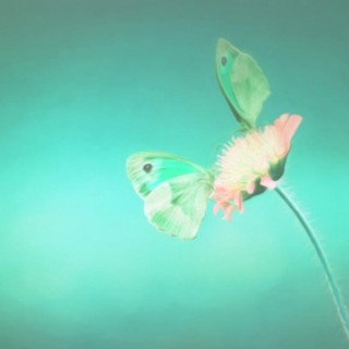 Introducing No. 4 of the 5 Shifts: Acknowledge what hasn’t brought resolution so far