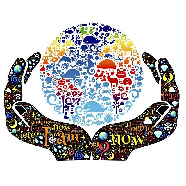 Good News Segment: Safe Pain Management; Fighting World Hunger; Party Bash; Bright Ideas for Cancer Care