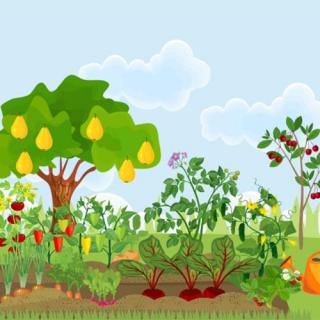 The Ecosystem Approach Part 2 - this is the solution for all difficulties and getting to your heart’s desire! 
