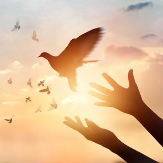 Free Yourself from Competition and Comparison And Start Living Your Life Now