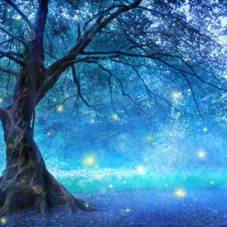 Dreams: An Access Point to Greater Consciousness with Kelly Lydick