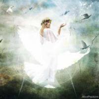 The Angel Lady Sue Storm and Angelic Assistance with Manifesting