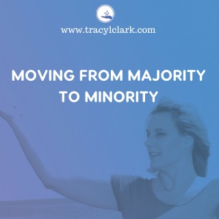 Moving From Majority to Minority