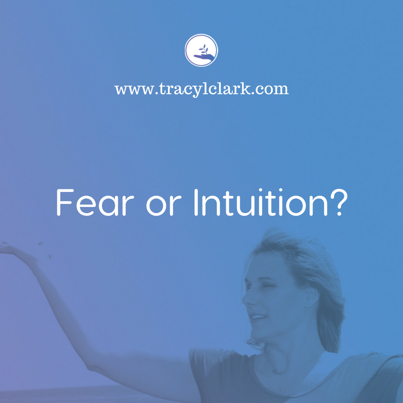 Fear or Intuition?  