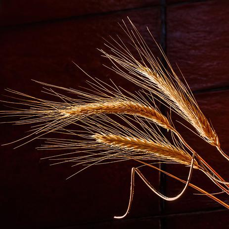 Holistic Living - How & Why with Emily Perkins