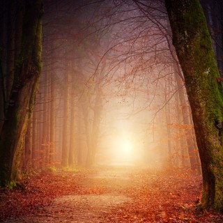 Encore: Finding our own way through loss