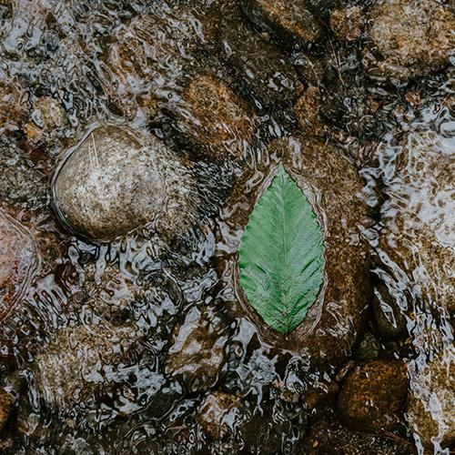 Good News Segment: High-Speed Drone Racing~Learn the Signs of Stroke~New Chronic Pain Treatment~Sports Injuries & Safety