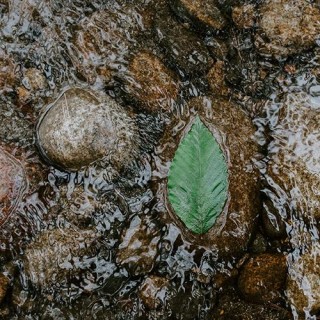 Good News Segment: High-Speed Drone Racing~Learn the Signs of Stroke~New Chronic Pain Treatment~Sports Injuries & Safety