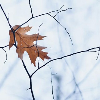 Easing into the Fall and Winter by Getting to and Staying in Neutral with LeRoy Malouf
