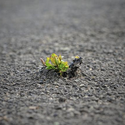 Are you waiting on a Breakthrough? Then this is your episode! 