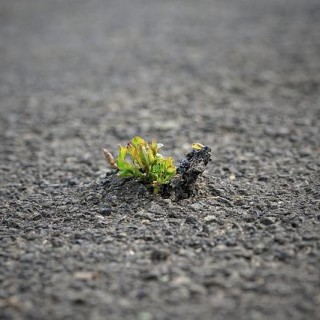 Are you waiting on a Breakthrough? Then this is your episode! 