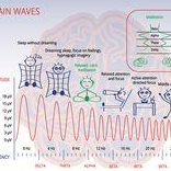 The Art and Science of Sound Continued...