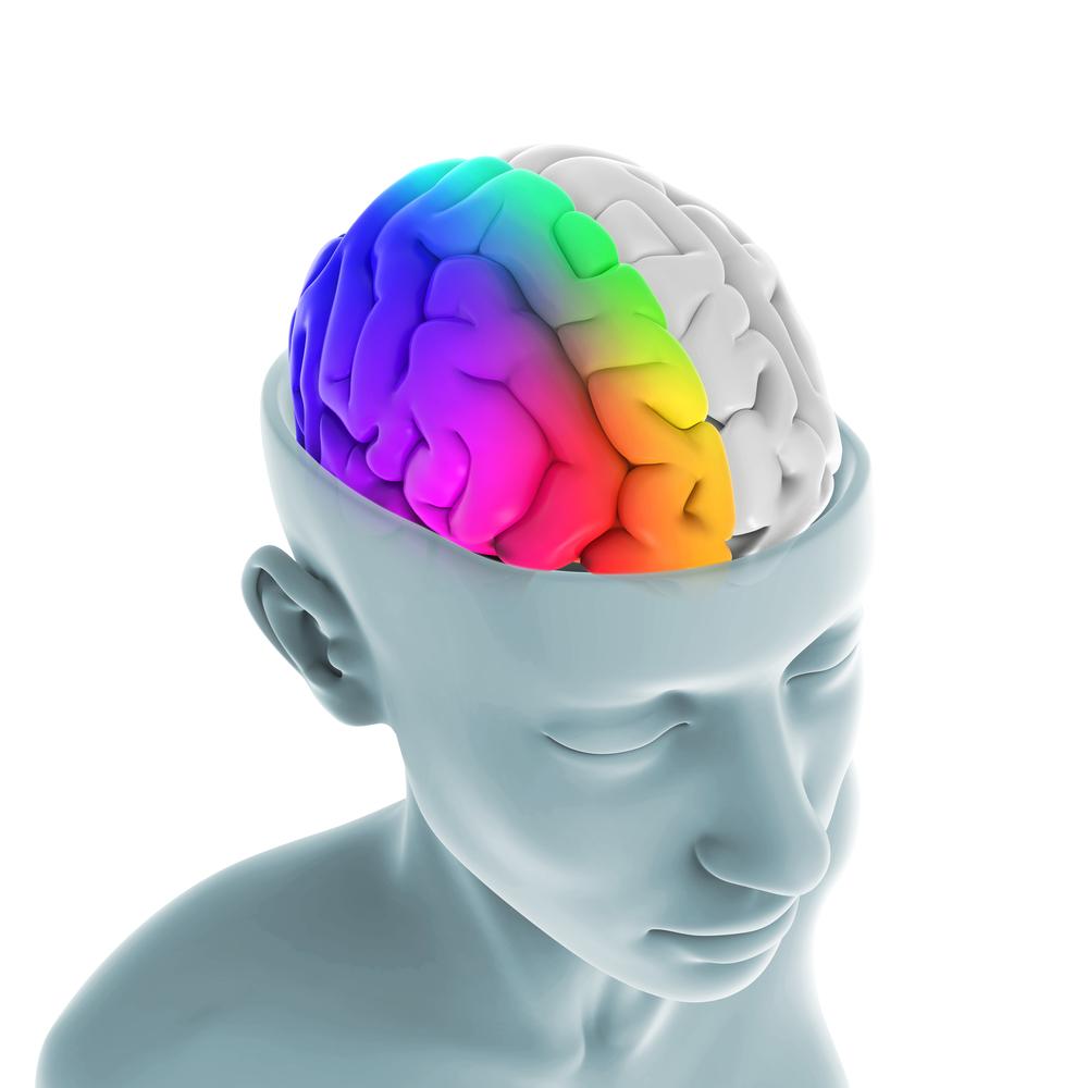 Left Brain: Right Brain...Dissecting both hemispheres. Which has the power to heal?