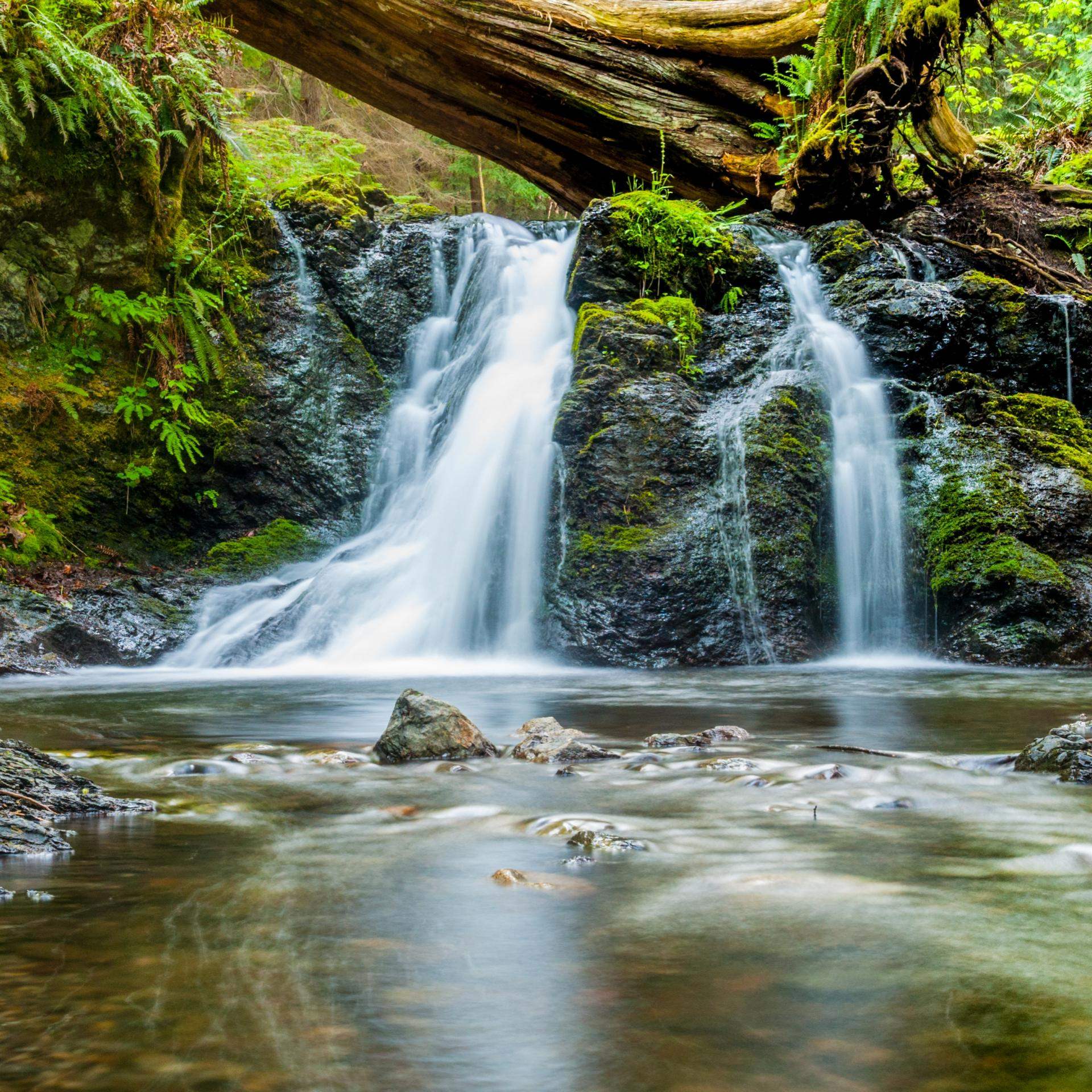 How to Deepen into the Flow of More Joy