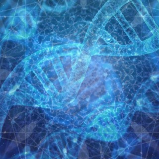 Have Fun Unleashing the Power in your DNA with Charan Surdhar