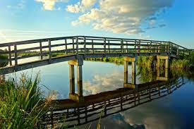Be the Bridge!