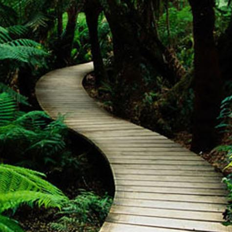 Mastering Your Path