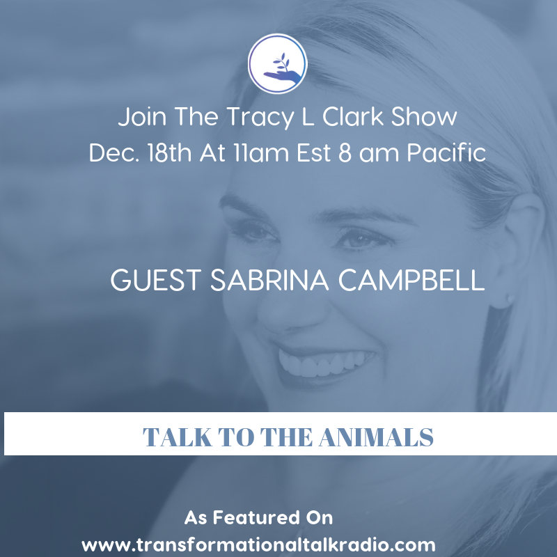 ARE YOUR READY TO TALK TO YOUR ANIMALS