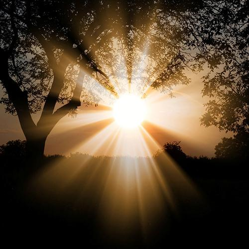 Guest Host Karen Betten: Shedding Light on Traumatic Birth