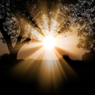 Guest Host Karen Betten: Shedding Light on Traumatic Birth
